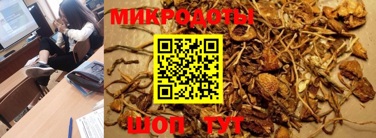 Галлюциногенные грибы прущие грибы Свободный